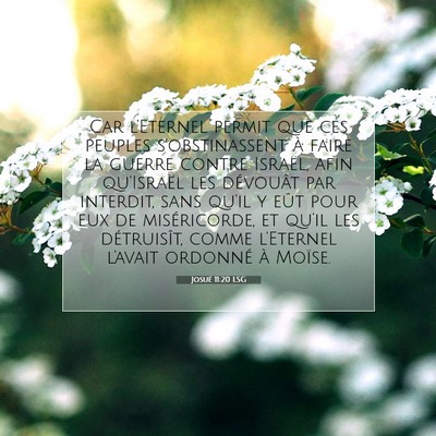 Picture 07 - Josué 11:20 LSG - Car l'Eternel permit que ces peuples - Bible Verse Picture