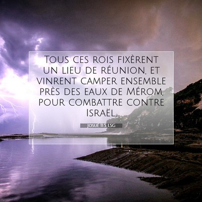 Picture 07 - Josué 11:5 LSG - Tous ces rois fixèrent un lieu de réunion, et - Bible Verse Picture