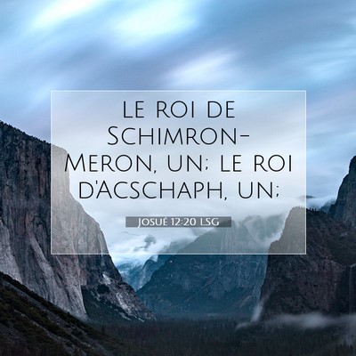 Picture 07 - Josué 12:20 LSG - le roi de Schimron-Meron, un; le roi d'Acschaph, - Bible Verse Picture