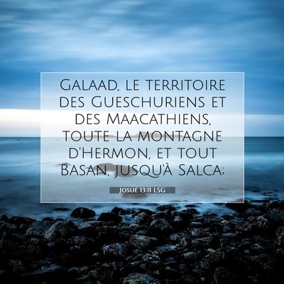 Picture 07 - Josué 13:11 LSG - Galaad, le territoire des Gueschuriens et des - Bible Verse Picture