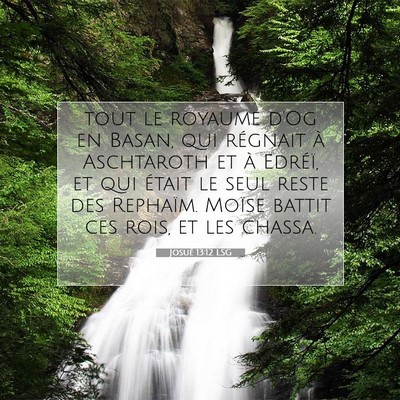 Picture 07 - Josué 13:12 LSG - tout le royaume d'Og en Basan, qui régnait à - Bible Verse Picture