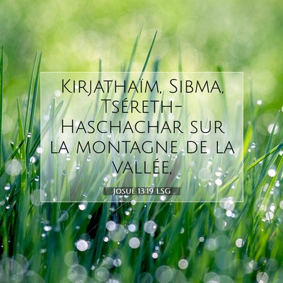 Picture 07 - Josué 13:19 LSG - Kirjathaïm, Sibma, Tséreth-Haschachar sur la - Bible Verse Picture