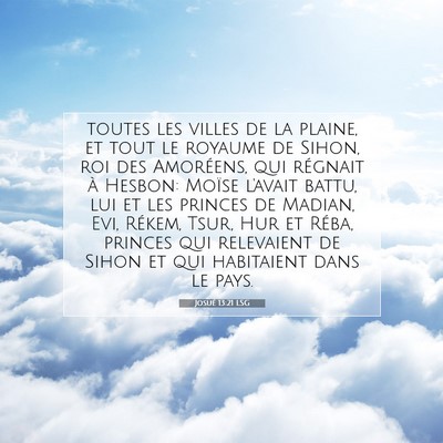 Picture 07 - Josué 13:21 LSG - toutes les villes de la plaine, et tout le - Bible Verse Picture