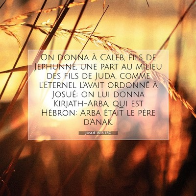 Picture 07 - Josué 15:13 LSG - On donna à Caleb, fils de Jephunné, une part au - Bible Verse Picture