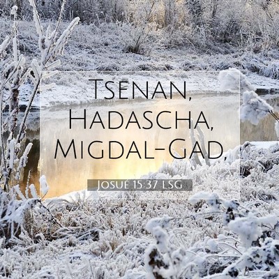 Picture 07 - Josué 15:37 LSG - Tsenan, Hadascha, - Bible Verse Picture