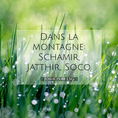 Picture 07 - Josué 15:48 LSG - Dans la montagne: Schamir, Jatthir, - Bible Verse Picture