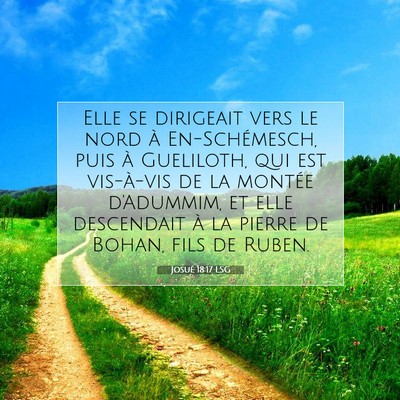 Picture 07 - Josué 18:17 LSG - Elle se dirigeait vers le nord à En-Schémesch, - Bible Verse Picture