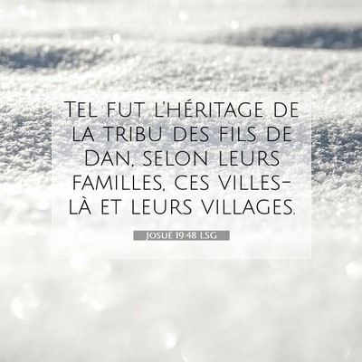 Picture 07 - Josué 19:48 LSG - Tel fut l'héritage de la tribu des fils de Dan, - Bible Verse Picture