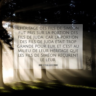 Picture 07 - Josué 19:9 LSG - L'héritage des fils de Siméon fut pris sur la - Bible Verse Picture