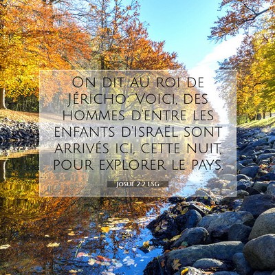Picture 07 - Josué 2:2 LSG - On dit au roi de Jéricho: Voici, des hommes - Bible Verse Picture