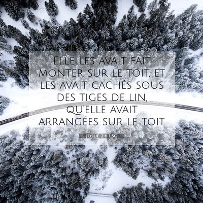 Picture 07 - Josué 2:6 LSG - Elle les avait fait monter sur le toit, et les - Bible Verse Picture