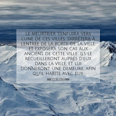 Picture 07 - Josué 20:4 LSG - Le meurtrier s'enfuira vers l'une de ces villes, - Bible Verse Picture