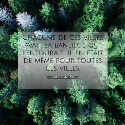 Picture 07 - Josué 21:42 LSG - Chacune de ces villes avait sa banlieue qui - Bible Verse Picture
