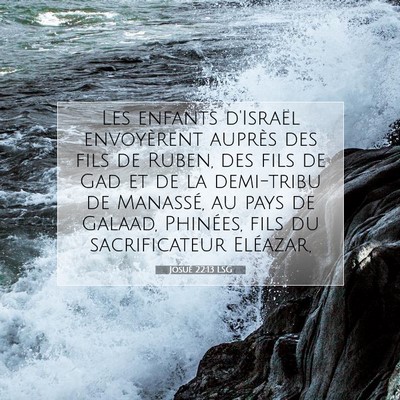 Picture 07 - Josué 22:13 LSG - Les enfants d'Israël envoyèrent auprès des - Bible Verse Picture