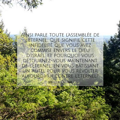 Picture 07 - Josué 22:16 LSG - Ainsi parle toute l'assemblée de l'Eternel: Que - Bible Verse Picture