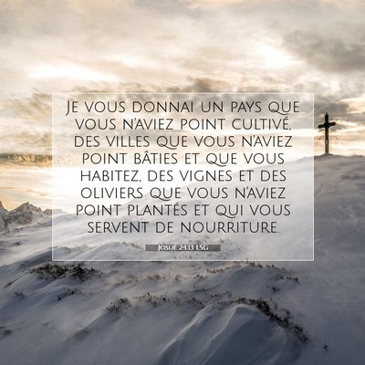 Picture 07 - Josué 24:13 LSG - Je vous donnai un pays que vous n'aviez point - Bible Verse Picture