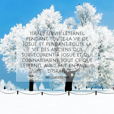 Picture 07 - Josué 24:31 LSG - Israël servit l'Eternel pendant toute la vie de - Bible Verse Picture