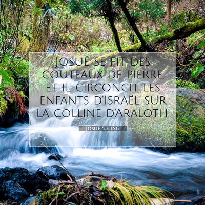Picture 07 - Josué 5:3 LSG - Josué se fit des couteaux de pierre, et il - Bible Verse Picture