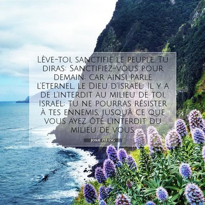 Picture 07 - Josué 7:13 LSG - Lève-toi, sanctifie le peuple. Tu diras: - Bible Verse Picture