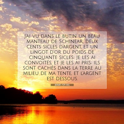 Picture 07 - Josué 7:21 LSG - J'ai vu dans le butin un beau manteau de - Bible Verse Picture