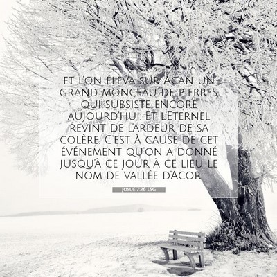 Picture 07 - Josué 7:26 LSG - et l'on éleva sur Acan un grand monceau de - Bible Verse Picture