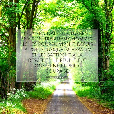 Picture 07 - Josué 7:5 LSG - Les gens d'Aï leur tuèrent environ trente-six - Bible Verse Picture