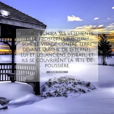 Picture 07 - Josué 7:6 LSG - Josué déchira ses vêtements, et se prosterna - Bible Verse Picture