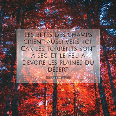 Picture 07 - Joël 1:20 LSG - Les bêtes des champs crient aussi vers toi; Car - Bible Verse Picture