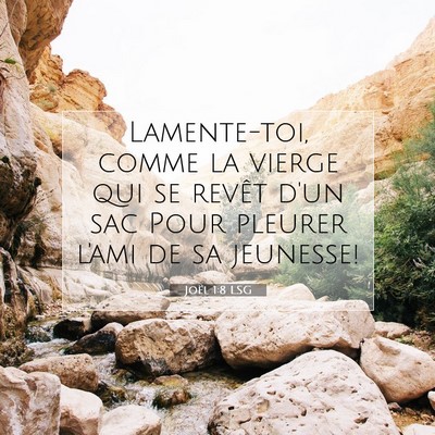 Picture 07 - Joël 1:8 LSG - Lamente-toi, comme la vierge qui se revêt d'un - Bible Verse Picture
