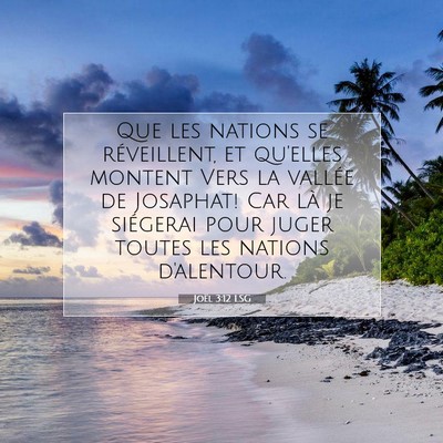 Picture 07 - Joël 3:12 LSG - Que les nations se réveillent, et qu'elles - Bible Verse Picture