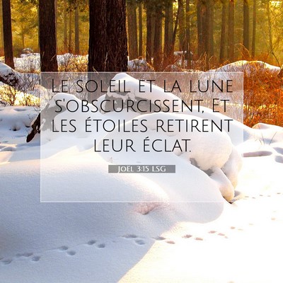 Picture 07 - Joël 3:15 LSG - Le soleil et la lune s'obscurcissent, Et les - Bible Verse Picture