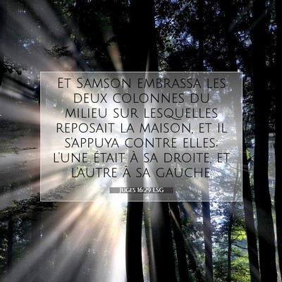 Picture 07 - Juges 16:29 LSG - Et Samson embrassa les deux colonnes du milieu - Bible Verse Picture