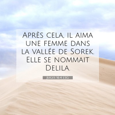 Picture 07 - Juges 16:4 LSG - Après cela, il aima une femme dans la vallée de - Bible Verse Picture