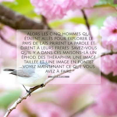 Picture 07 - Juges 18:14 LSG - Alors les cinq hommes qui étaient allés pour - Bible Verse Picture