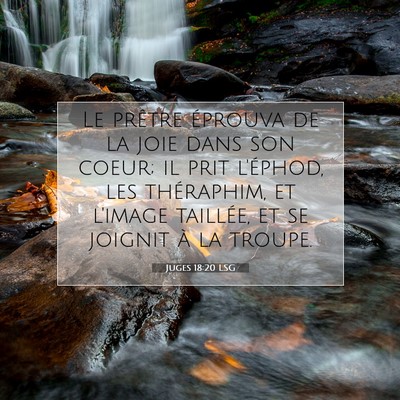 Picture 07 - Juges 18:20 LSG - Le prêtre éprouva de la joie dans son coeur; il - Bible Verse Picture