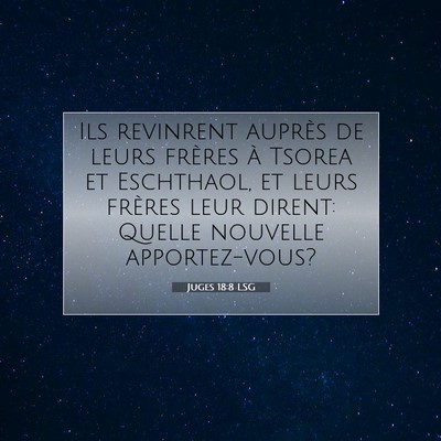 Picture 07 - Juges 18:8 LSG - Ils revinrent auprès de leurs frères à Tsorea - Bible Verse Picture