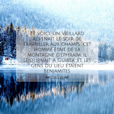 Picture 07 - Juges 19:16 LSG - Et voici, un vieillard revenait le soir de - Bible Verse Picture