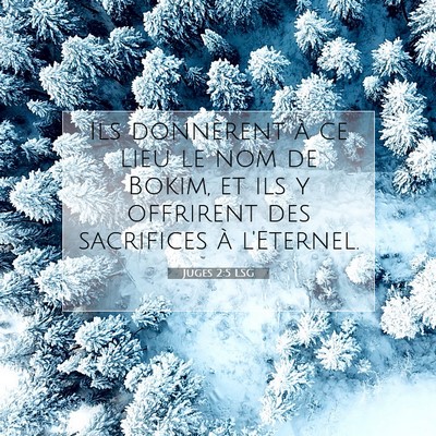 Picture 07 - Juges 2:5 LSG - Ils donnèrent à ce lieu le nom de Bokim, et ils - Bible Verse Picture