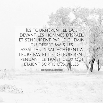 Picture 07 - Juges 20:42 LSG - Ils tournèrent le dos devant les hommes - Bible Verse Picture