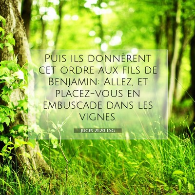 Picture 07 - Juges 21:20 LSG - Puis ils donnèrent cet ordre aux fils de - Bible Verse Picture