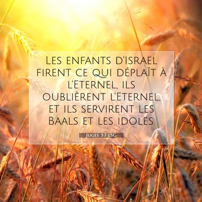 Picture 07 - Juges 3:7 LSG - Les enfants d'Israël firent ce qui déplaît à - Bible Verse Picture