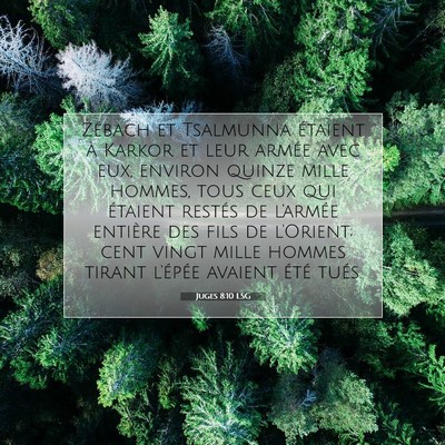 Picture 07 - Juges 8:10 LSG - Zébach et Tsalmunna étaient à Karkor et leur - Bible Verse Picture