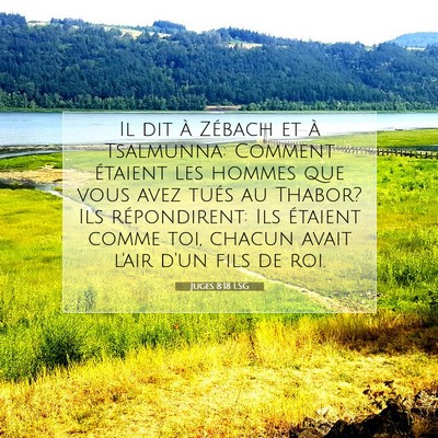 Picture 07 - Juges 8:18 LSG - Il dit à Zébach et à Tsalmunna: Comment - Bible Verse Picture