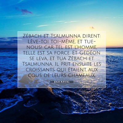 Picture 07 - Juges 8:21 LSG - Zébach et Tsalmunna dirent: Lève-toi toi-même, - Bible Verse Picture
