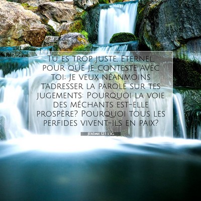 Picture 07 - Jérémie 12:1 LSG - Tu es trop juste, Eternel, pour que je conteste - Bible Verse Picture