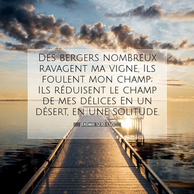 Picture 07 - Jérémie 12:10 LSG - Des bergers nombreux ravagent ma vigne, Ils - Bible Verse Picture
