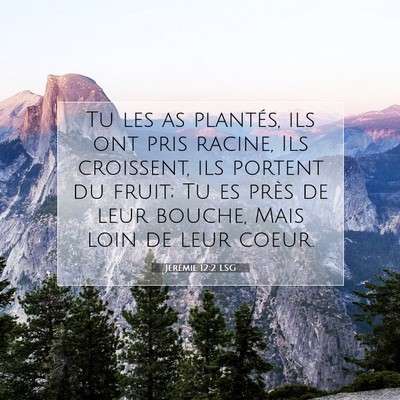 Picture 07 - Jérémie 12:2 LSG - Tu les as plantés, ils ont pris racine, Ils - Bible Verse Picture
