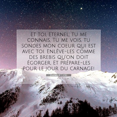 Picture 07 - Jérémie 12:3 LSG - Et toi, Eternel, tu me connais, Tu me vois, tu - Bible Verse Picture