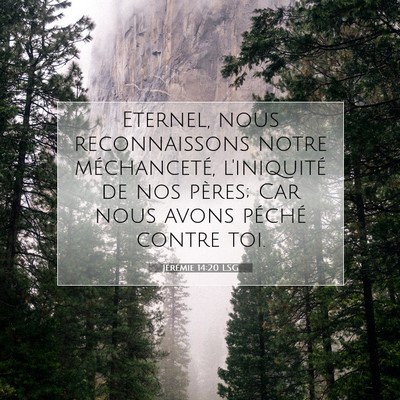 Picture 07 - Jérémie 14:20 LSG - Eternel, nous reconnaissons notre méchanceté, - Bible Verse Picture