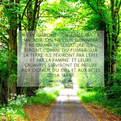 Picture 07 - Jérémie 16:4 LSG - Ils mourront consumés par la maladie; On ne leur - Bible Verse Picture